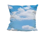 Picture of Dove - Cuddle Cushion
