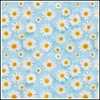 Picture of Daisy Blue