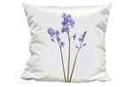 Picture for category Cuddle Cushion
