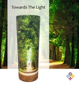 Picture of Towards The Light Scatter Tube 